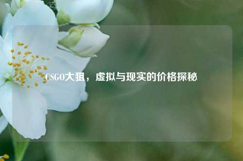 CSGO大狙,虚拟与现实的价格探秘