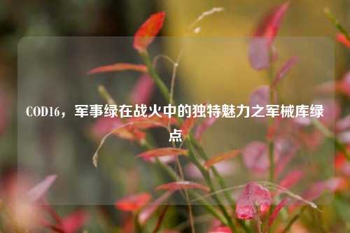 COD16,军事绿在战火中的独特魅力之军械库绿点