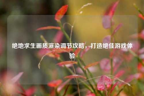 绝地求生画质渲染调节攻略,打造绝佳游戏体验