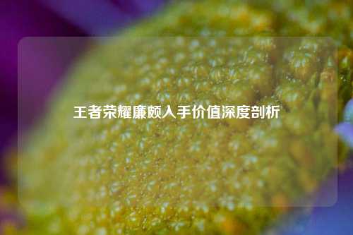 王者荣耀廉颇入手价值深度剖析