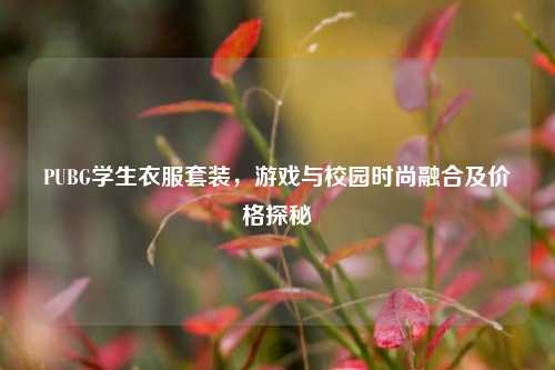 PUBG学生衣服套装，游戏与校园时尚融合及价格探秘