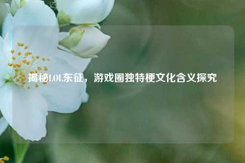 揭秘LOL东征,游戏圈独特梗文化含义探究