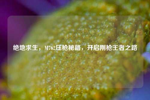 绝地求生,M762压枪秘籍,开启刚枪王者之路
