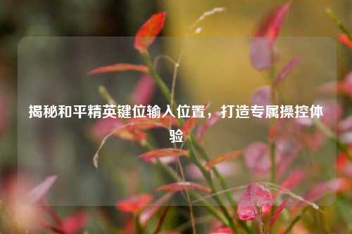 揭秘和平精英键位输入位置,打造专属操控体验
