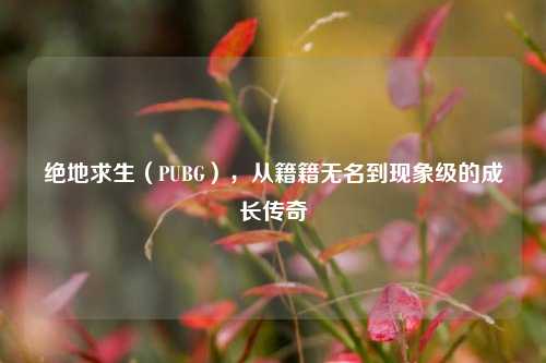 绝地求生(PUBG),从籍籍无名到现象级的成长传奇