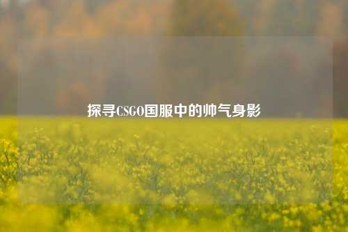 探寻CSGO国服中的帅气身影