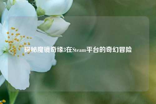 探秘魔镜奇缘3在Steam平台的奇幻冒险