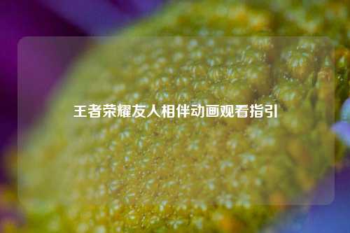 王者荣耀友人相伴动画观看指引