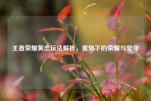 王者荣耀黄忠玩法解析,重炮下的荣耀与坚守