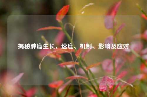 揭秘肿瘤生长，速度、机制、影响及应对