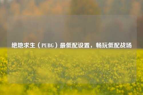 绝地求生(PUBG)更低配设置,畅玩低配战场