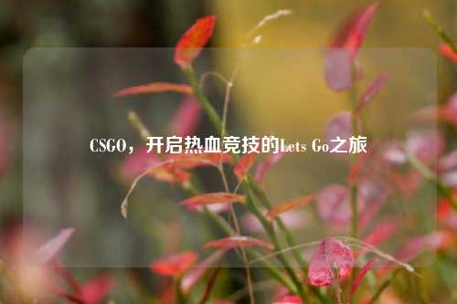 CSGO，开启热血竞技的Lets Go之旅