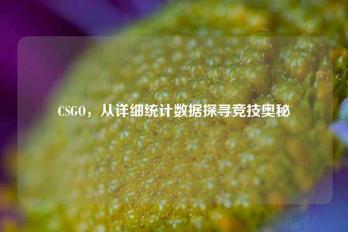 CSGO，从详细统计数据探寻竞技奥秘