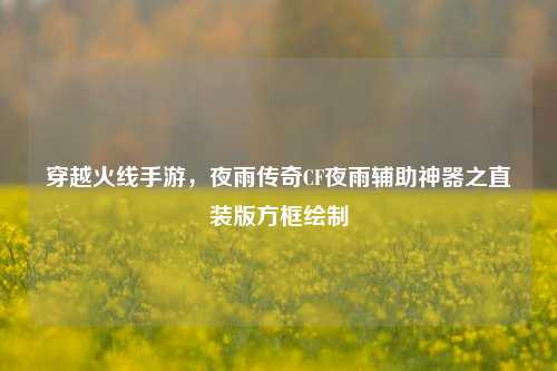 穿越火线手游,夜雨传奇CF夜雨辅助神器之直装版方框绘制