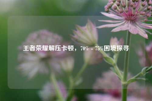 王者荣耀解压卡顿,70% - 75%困境探寻