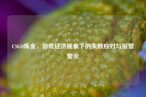 CSGO炼金,游戏经济现象下的失败应对与报警警示