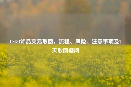 CSGO饰品交易取回,流程、风险、注意事项及7天取回疑问