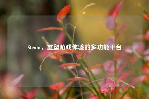 Steam，重塑游戏体验的多功能平台
