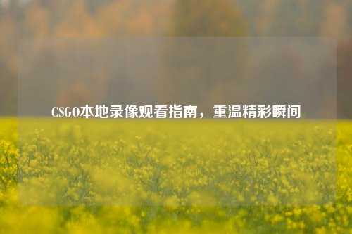 CSGO本地录像观看指南,重温精彩瞬间