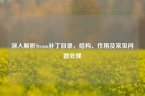 深入解析Steam补丁目录，结构、作用及常见问题处理