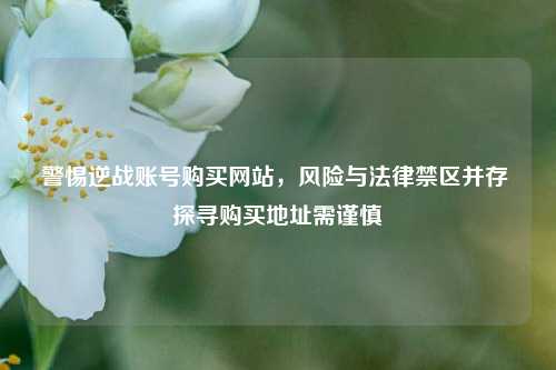 警惕逆战账号购买网站,风险与法律禁区并存 探寻购买地址需谨慎