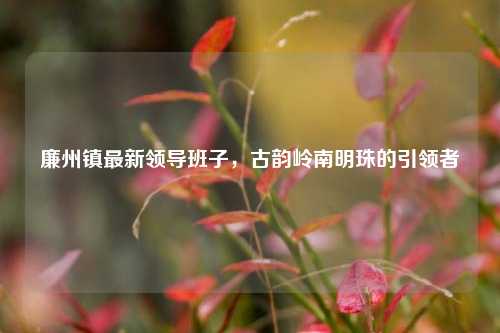 廉州镇最新领导班子,古韵岭南明珠的引领者
