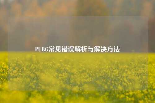 PUBG常见错误解析与解决