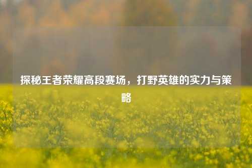 探秘王者荣耀高段赛场,打野英雄的实力与策略