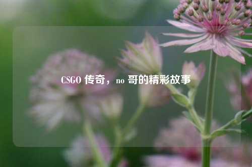 CSGO 传奇,no 哥的精彩故事