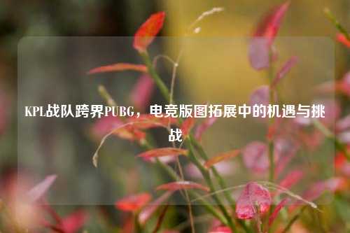 KPL战队跨界PUBG,电竞版图拓展中的机遇与挑战