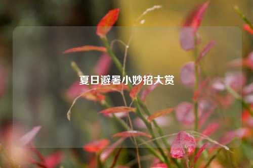夏日避暑小妙招大赏