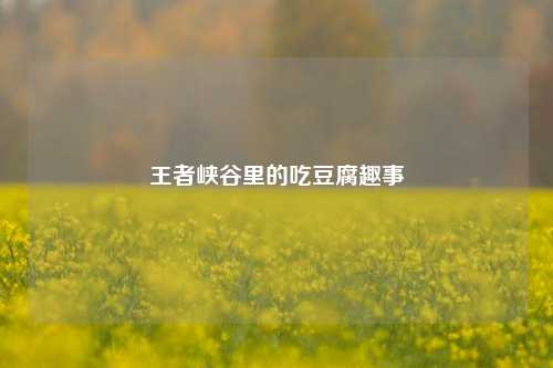 王者峡谷里的吃豆腐趣事