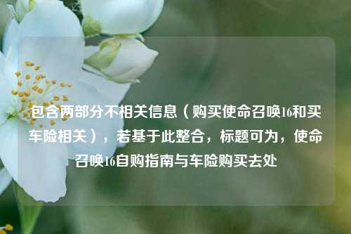 包含两部分不相关信息(购买使命召唤16和买车险相关),若基于此整合,标题可为,使命召唤16自购指南与车险购买去处