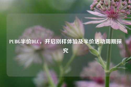 PUBG半价DLC,开启别样体验及半价活动周期探究