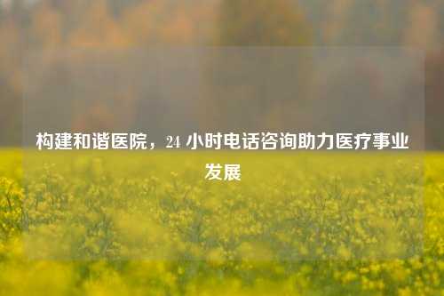 构建和谐医院,24 小时 咨询助力医疗事业发展