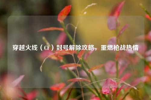 穿越火线（CF）封号解除攻略，重燃枪战热情