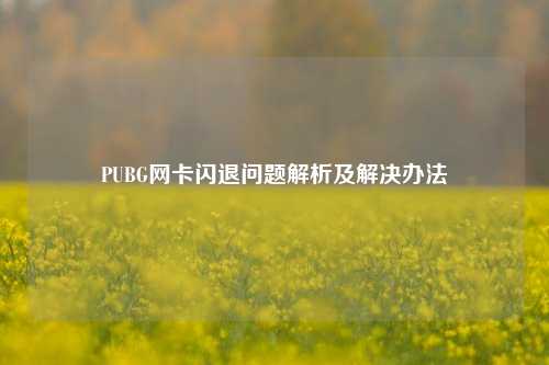 PUBG网卡闪退问题解析及解决办法
