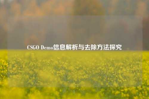 CSGO Demo信息解析与去除 探究