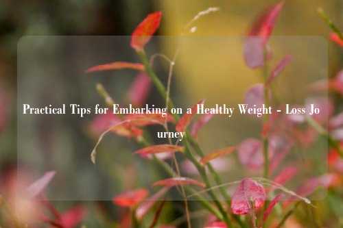 Practical Tips for Embarking on a Healthy Weight - Loss Journey
