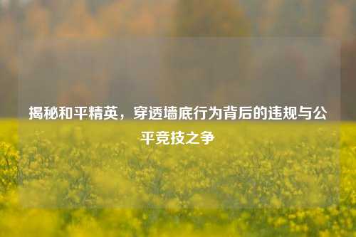 揭秘和平精英,穿透墙底行为背后的违规与公平竞技之争