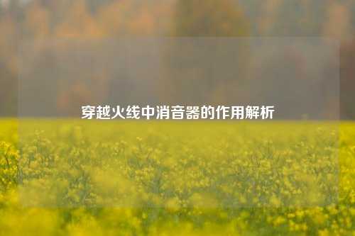 穿越火线中消音器的作用解析