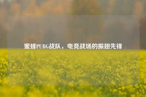 蜜蜂PUBG战队,电竞战场的振翅先锋