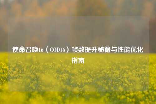 使命召唤16(COD16)帧数提升秘籍与性能优化指南
