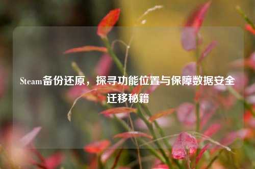 Steam备份还原,探寻功能位置与保障数据安全迁移秘籍