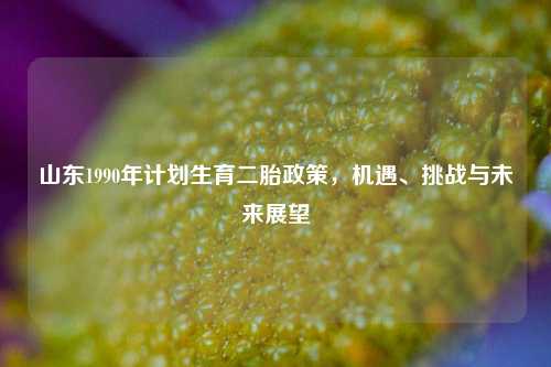 山东1990年计划生育二胎政策，机遇、挑战与未来展望