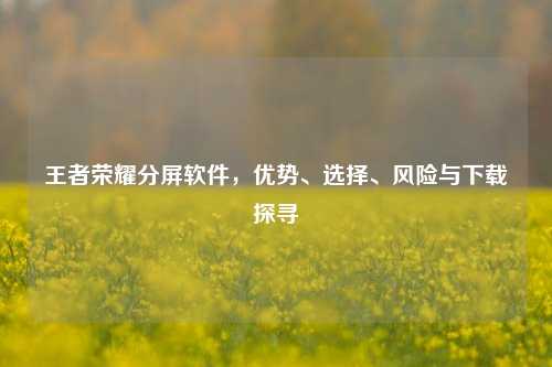 王者荣耀分屏软件,优势、选择、风险与下载探寻
