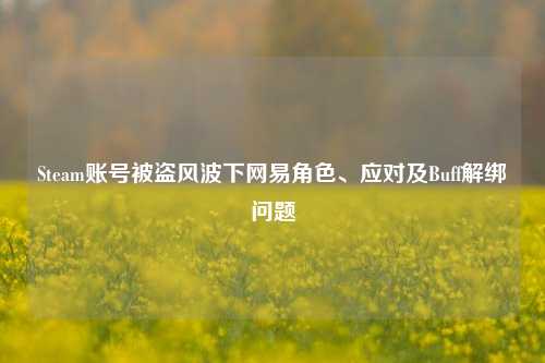 Steam账号被盗风波下网易角色、应对及Buff解绑问题