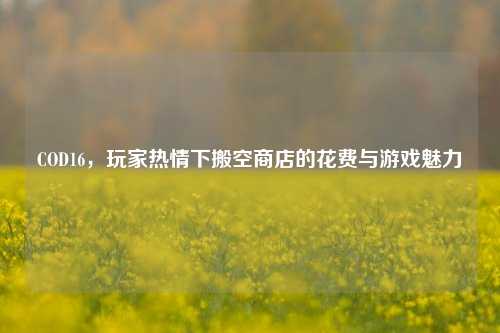 COD16，玩家热情下搬空商店的花费与游戏魅力