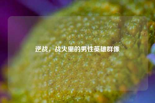 逆战，战火里的男性英雄群像