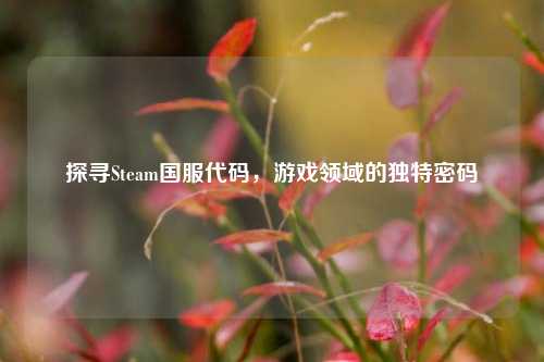 探寻Steam国服代码,游戏领域的独特密码